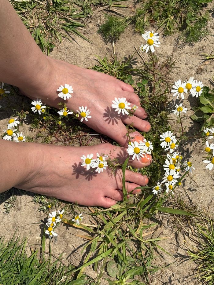 Close-up of bare feet surrounded by blooming daisies on a sunny spring day outdoors.